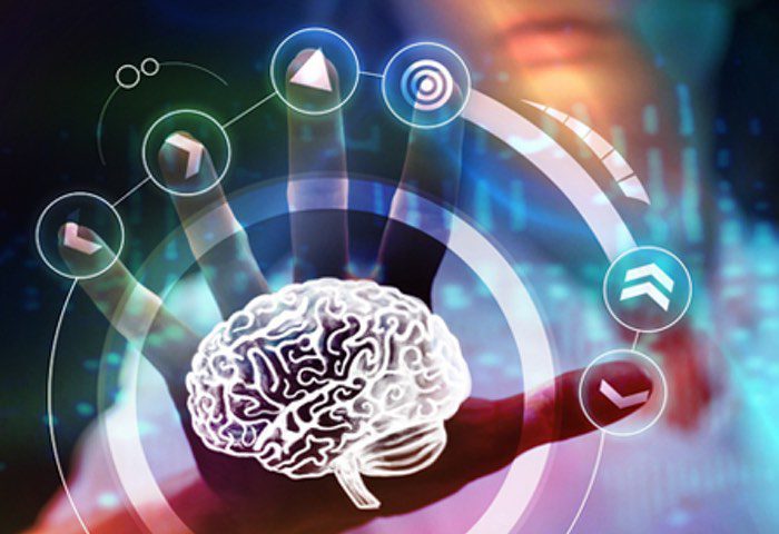 The Bio-Hack: Why Willpower is a Broken Algorithm